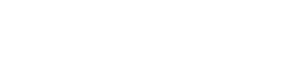Alpin Markets Logo